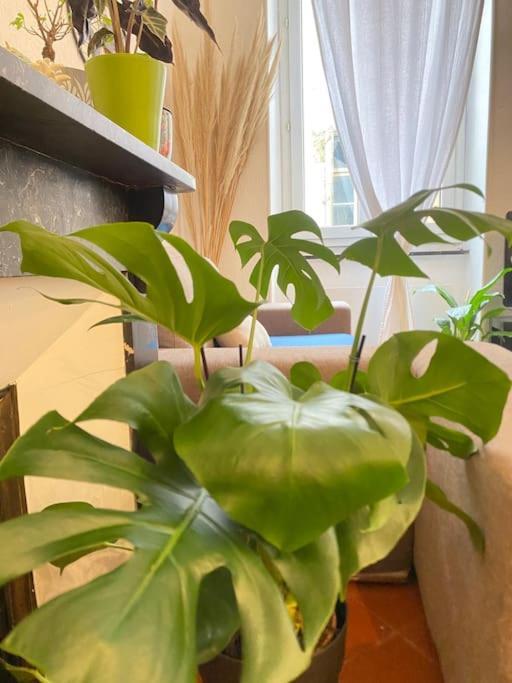 Апартаменты Le Jardin Secret De Nady Каркассон Экстерьер фото